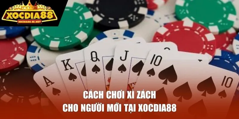Cách chơi Xì Zách cho người mới tại XOCDIA88