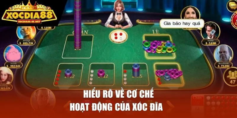 Hiểu rõ về cơ chế hoạt động của xóc đĩa 